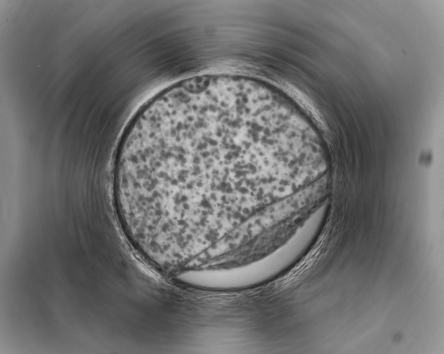 X0000098120854200805021155