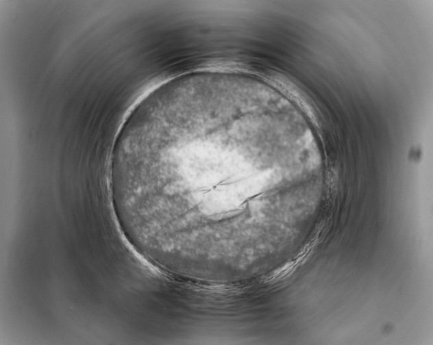 X0000098120855200805021155