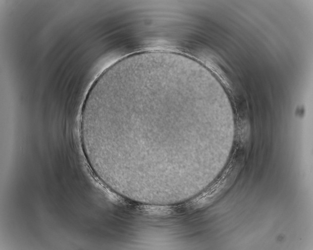 X0000098120856200805021155