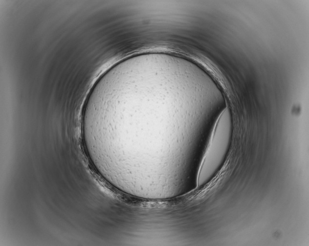 X0000098120858200805021155