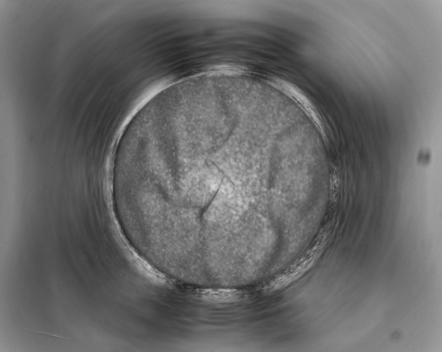 X0000098120859200805021155