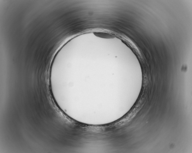 X0000098120860200805021155