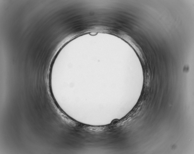 X0000098120861200805021155
