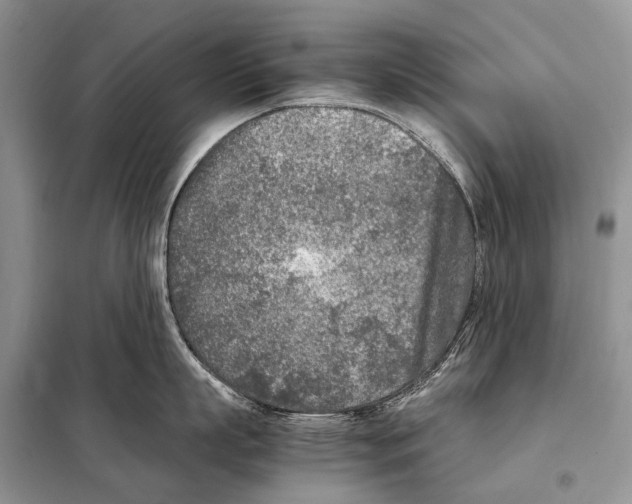 X0000098120863200805021155