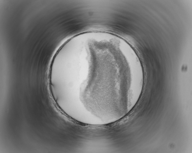 X0000098120864200805021155