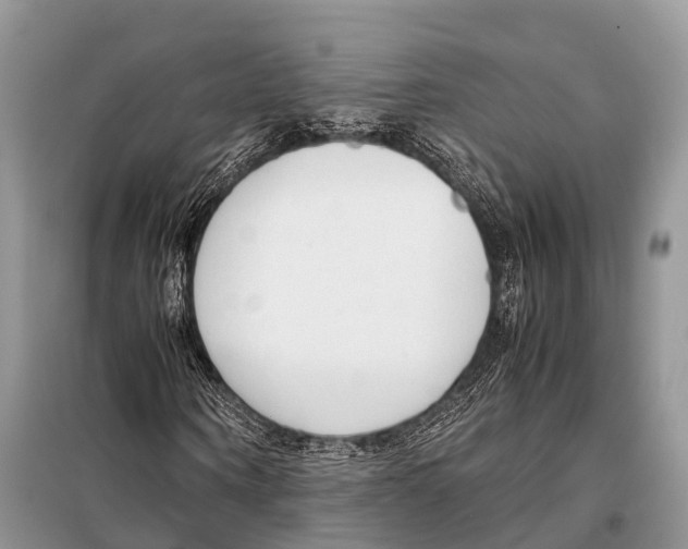 X0000098120866200805021154