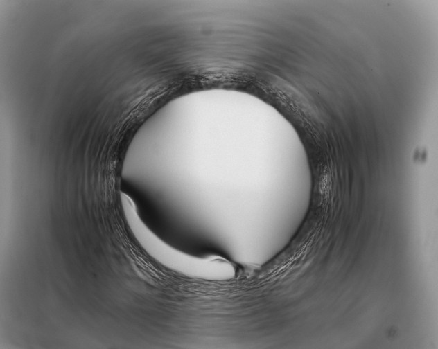 X0000098120868200805021154