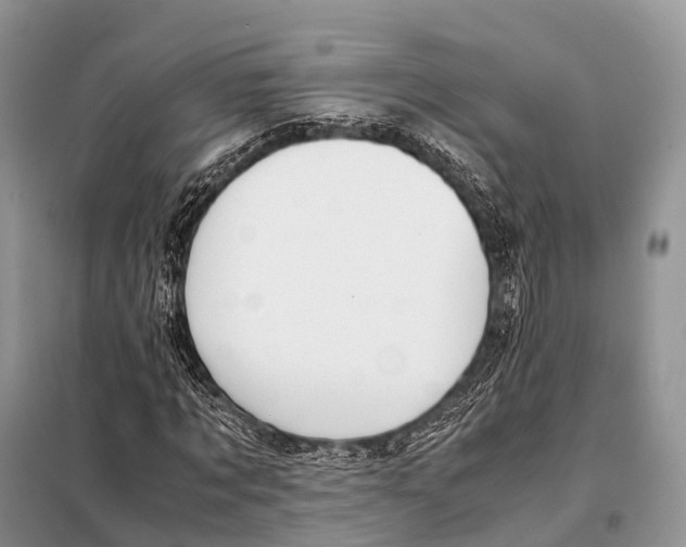 X0000098120869200805021154