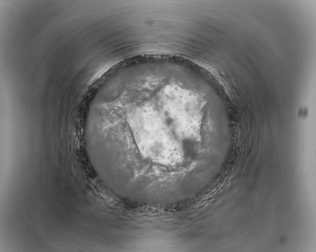 X0000098120871200805021154