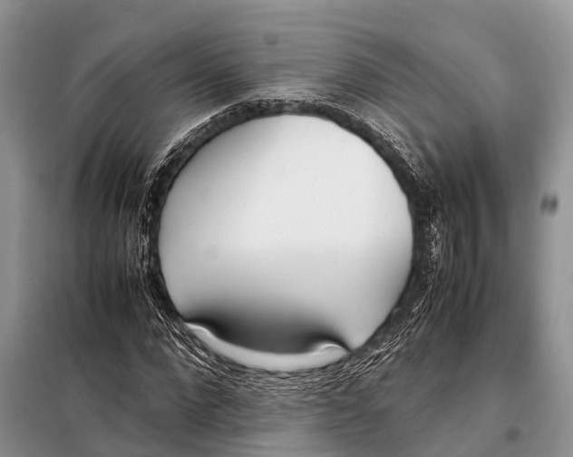 X0000098120872200805021154