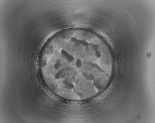 X0000098120875200805021154