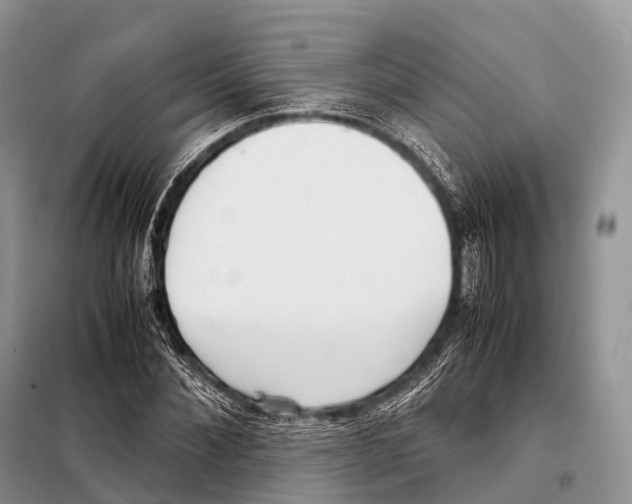 X0000098120876200805021154