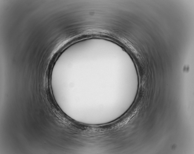 X0000098120877200805021154