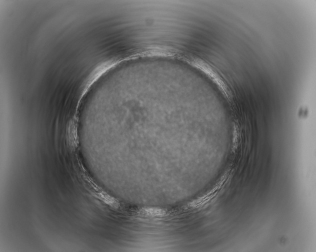 X0000098120878200805021154