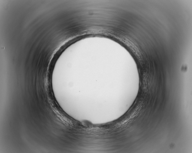 X0000098120880200805021154