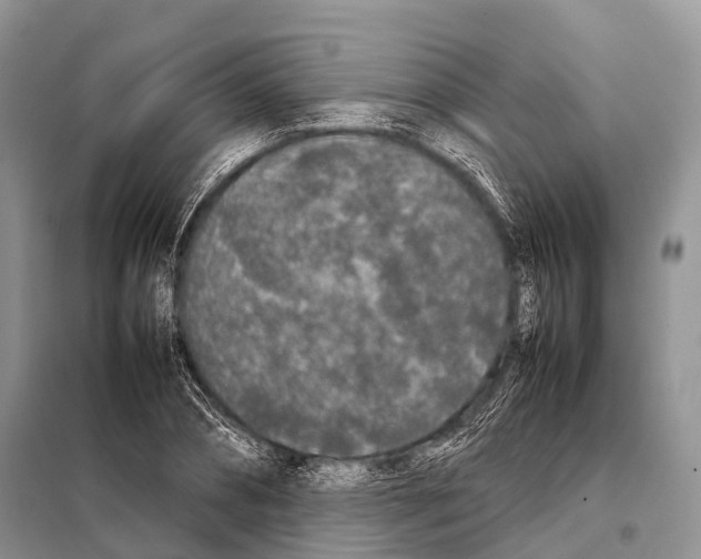 X0000098120882200805021154