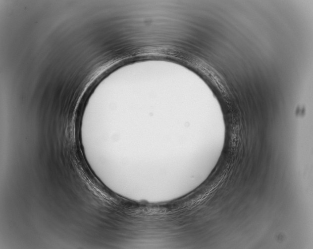 X0000098120884200805021154