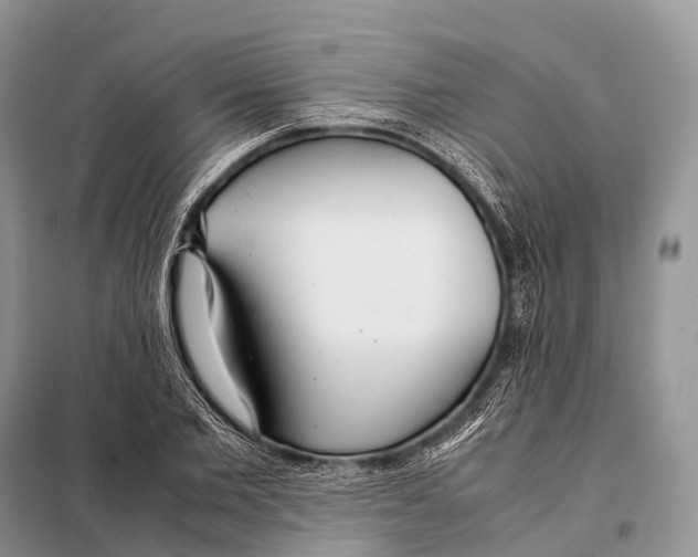 X0000098120885200805021154