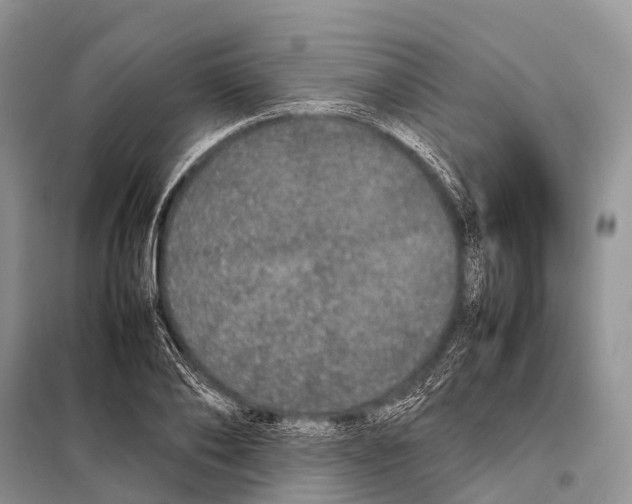 X0000098120886200805021154
