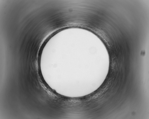 X0000098120888200805021154