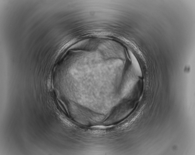 X0000098120889200805021153