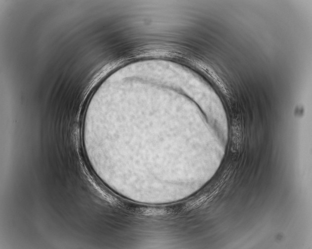 X0000098120890200805021153