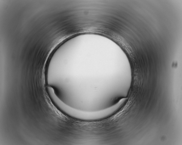 X0000098120892200805021153