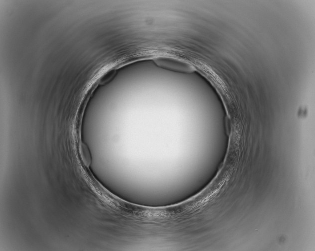 X0000098120893200805021153