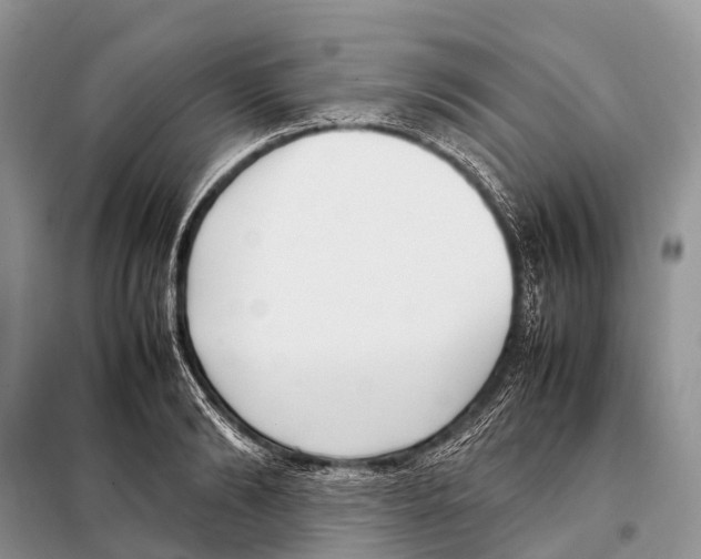 X0000098120894200805021153
