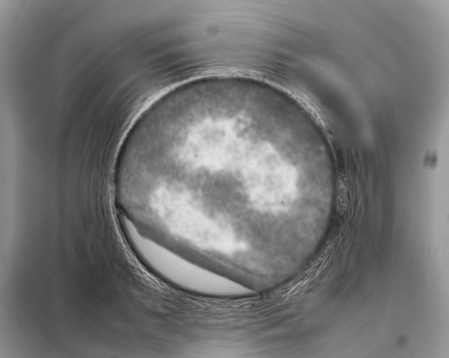 X0000098120895200805021153