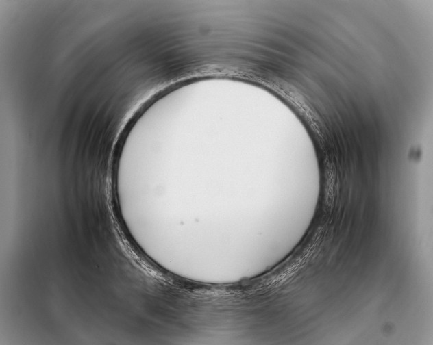 X0000098120896200805021153