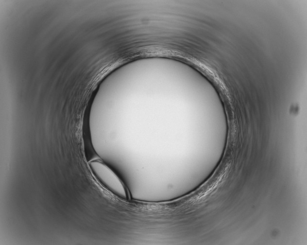 X0000098120897200805021153