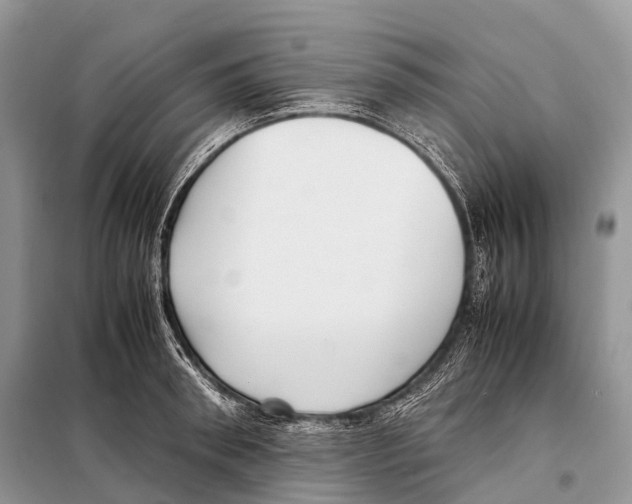 X0000098120898200805021153