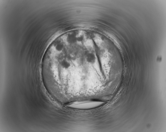 X0000098120899200805021153