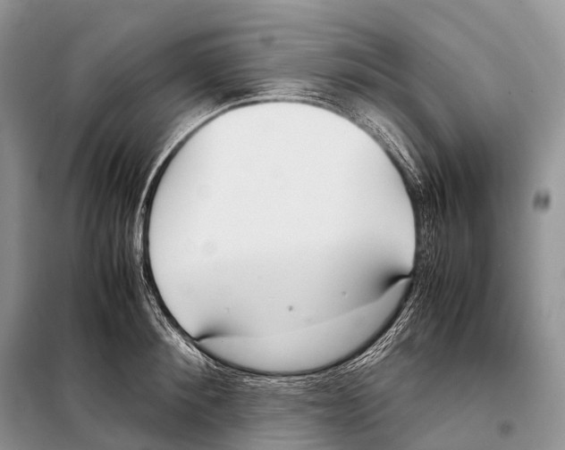 X0000098120900200805021153