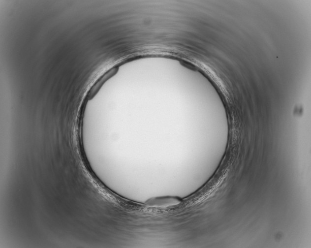 X0000098120901200805021153
