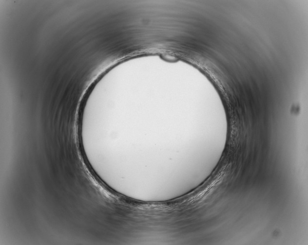 X0000098120902200805021153