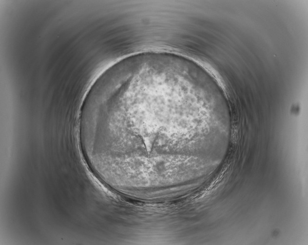 X0000098120903200805021153