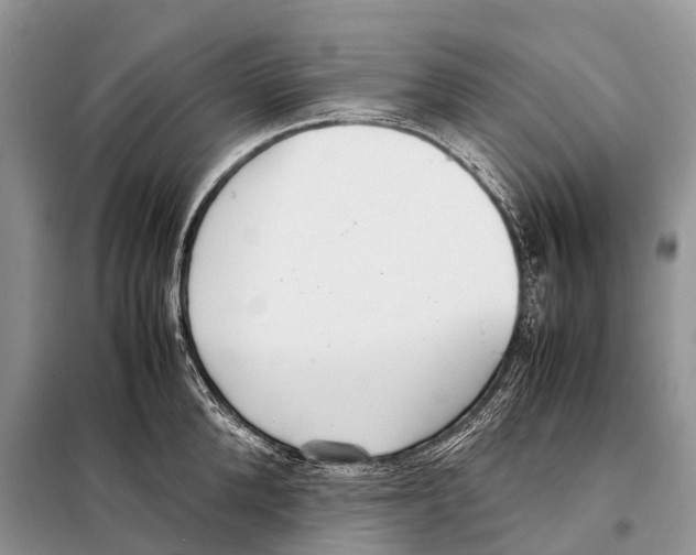 X0000098120904200805021153