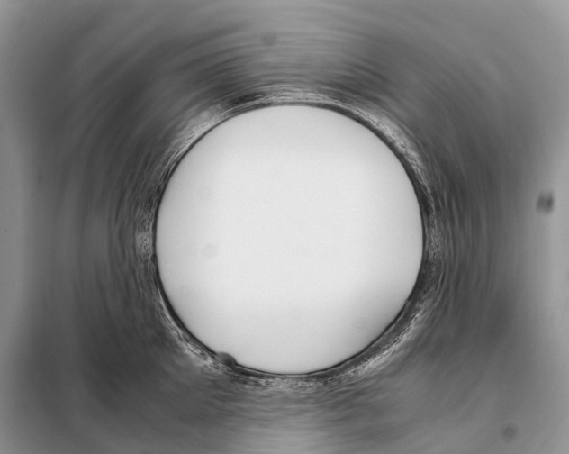 X0000098120905200805021153