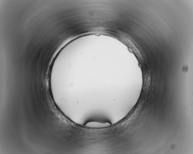 X0000098120908200805021153