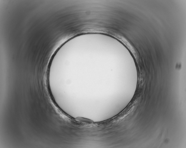 X0000098120909200805021153