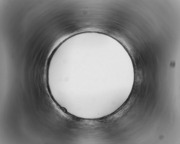 X0000098120910200805021153