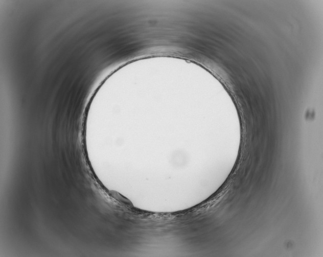 X0000098120912200805021153