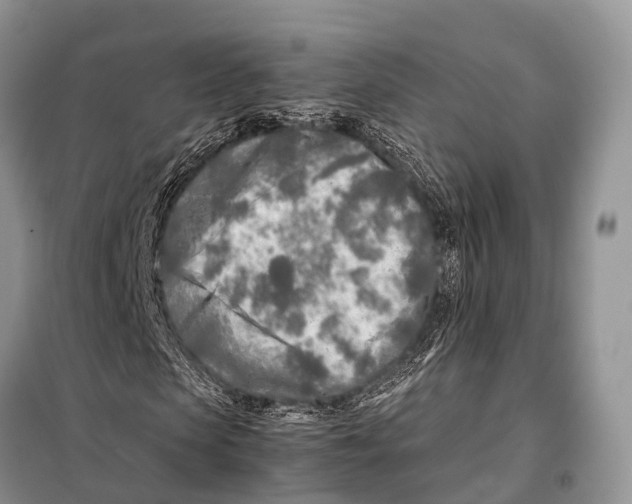 X0000098120913200805021153
