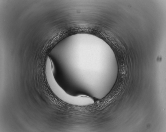X0000098120916200805021153