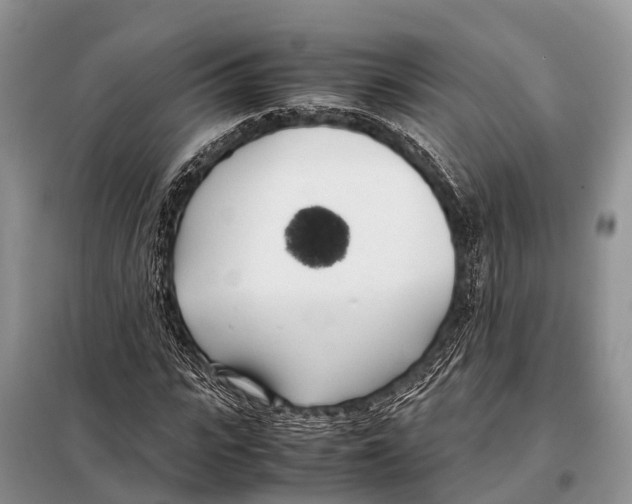 X0000098120919200805021153