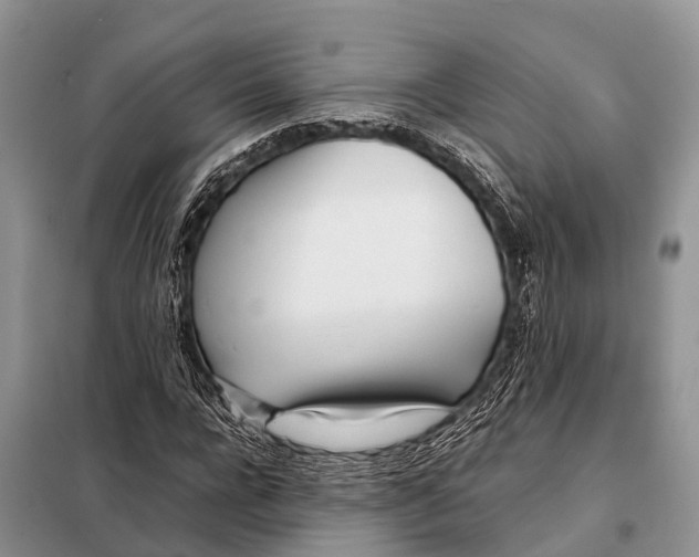 X0000098120920200805021153
