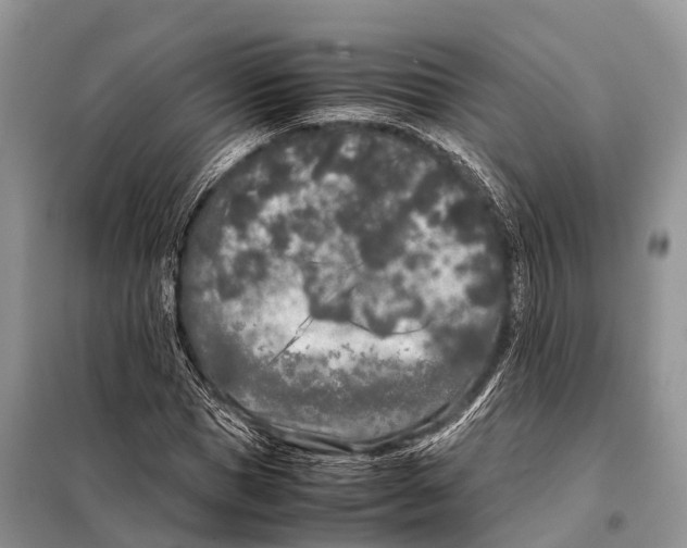 X0000098120921200805021153