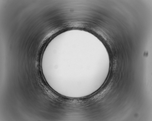 X0000098120922200805021153